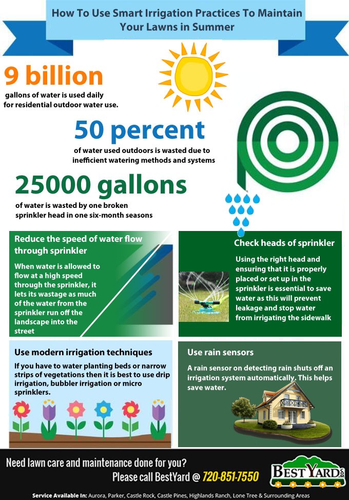 How to Use Smart Irrigation practices to maintain your lawns in Summer