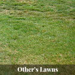 Other's Lawns