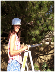 Best Aurora Spring & Fall Clean Ups