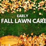 Fall-prep-for-your-landscape