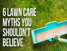 Lawn care myth and reality