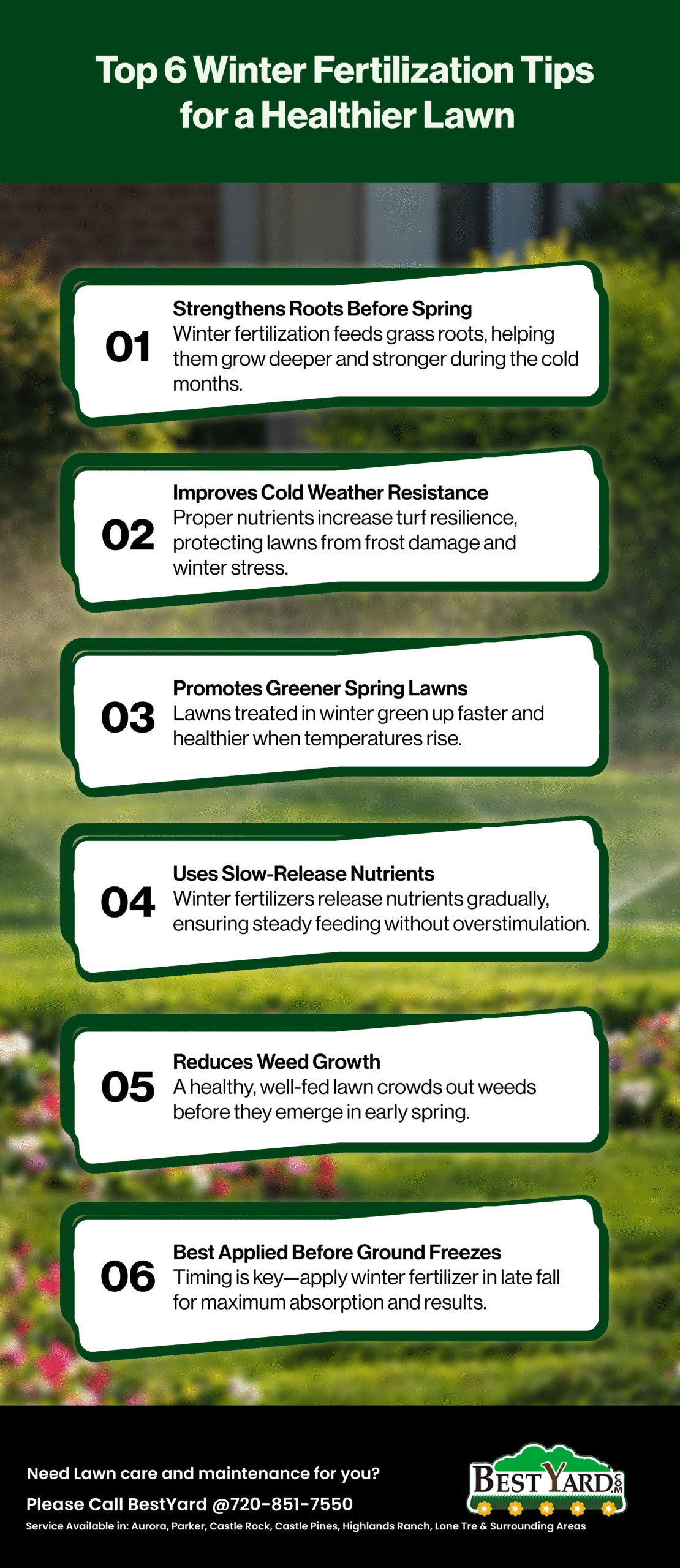 Preparing Your Garden for Winter: Top 6 Winter Fertilization Tips for a Healthier Lawn 
